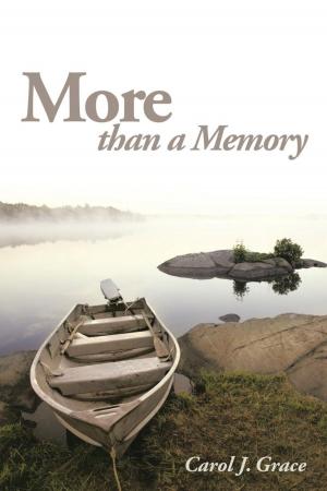 Cover of the book More Than a Memory by Donald Sinclair