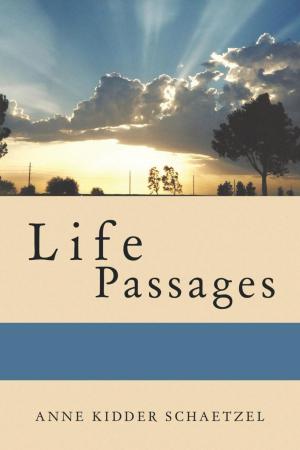 Cover of the book Life Passages by Antonio Q. Arnold