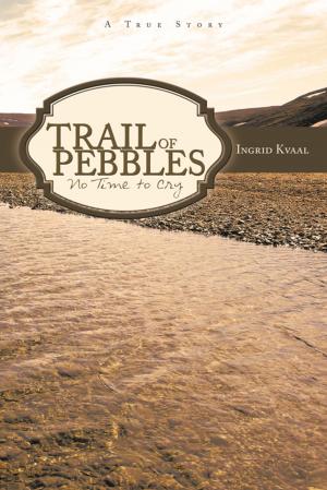 Cover of the book Trail of Pebbles by Trouble'D Thoughts