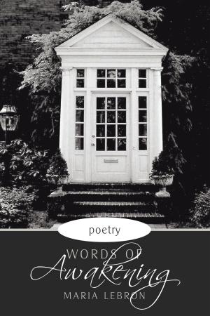 Cover of the book Words of Awakening by Howard Kirkpatrick