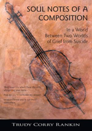 Cover of the book Soul Notes of a Composition by Larry Kritcher