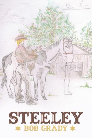 Cover of the book Steeley by Michael Parlee