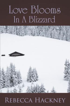 Cover of the book Love Blooms in a Blizzard by Elisabeth Linn