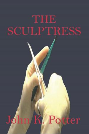 Cover of the book The Sculptress by Melissa Morrison