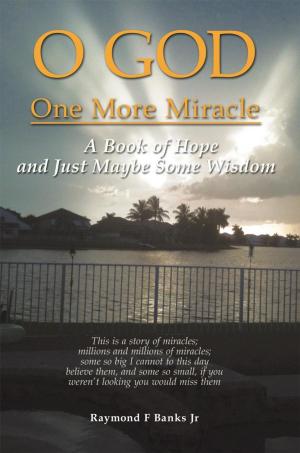 Cover of the book O God One More Miracle by Darryl L. Swank