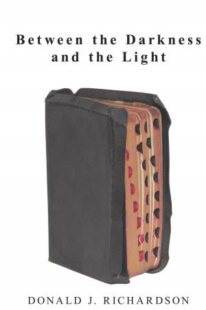 Cover of the book Between the Darkness and the Light by Donny Levit