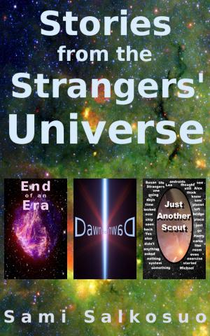 Cover of the book Stories from the Strangers' Universe by Christopher Davis