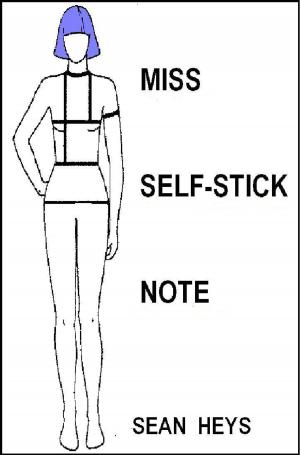 Book cover of Miss Self-Stick Note