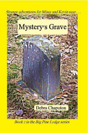 Book cover of Mystery's Grave