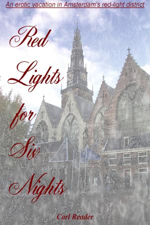 Book cover of Red Lights for Six Nights