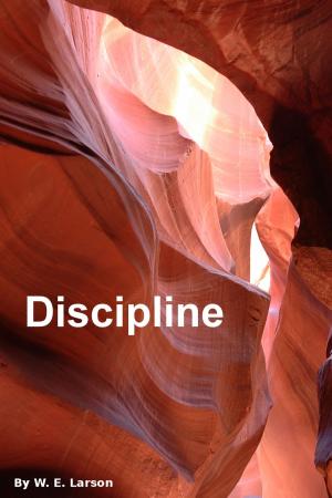 Cover of the book Discipline by Will B. Riley