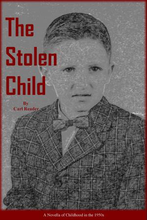 Book cover of The Stolen Child