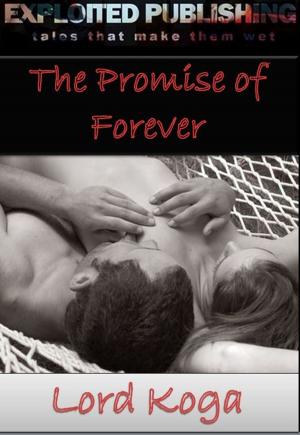 Cover of the book The Promise of Forever by Paige Diamond