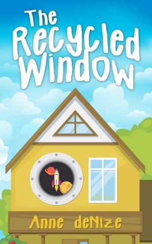 bigCover of the book The Recycled Window by 