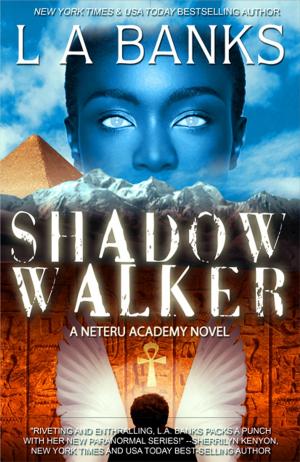 Cover of the book Shadow Walker by Patrick Finerd