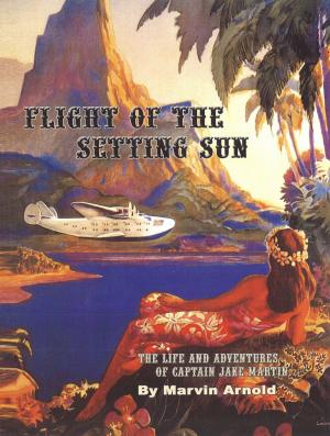 Cover of the book Flight Of The Setting Sun by Sheryl McCorry