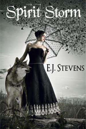 Cover of the book Spirit Storm (Spirit Guide, #2) by E.J. Stevens