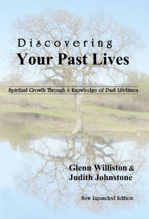 Cover of the book Discovering Your Past Lives by Martin Salter