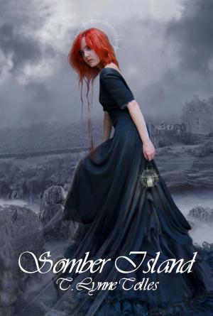 Book cover of Somber Island