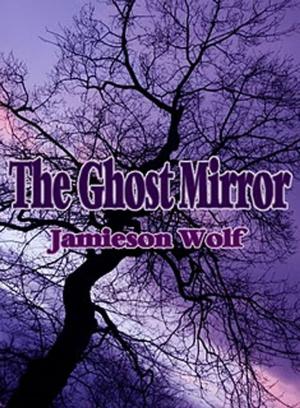 Book cover of The Ghost Mirror