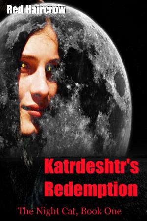 Book cover of Katrdeshtr's Redemption: The Night Cat, Book One