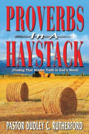 Book cover of Proverbs in a Haystack