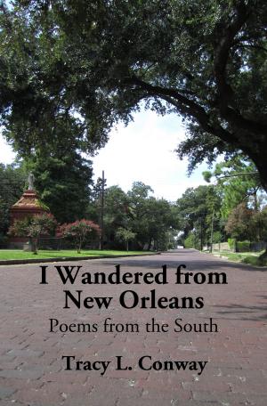 bigCover of the book I Wandered from New Orleans: Poems from the South by 
