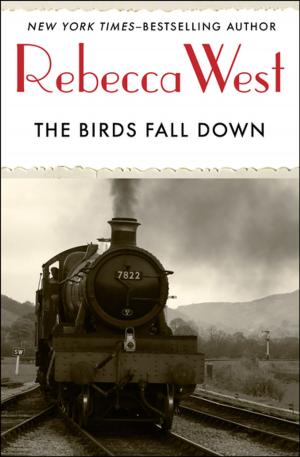 Cover of the book The Birds Fall Down by Patrick Gale