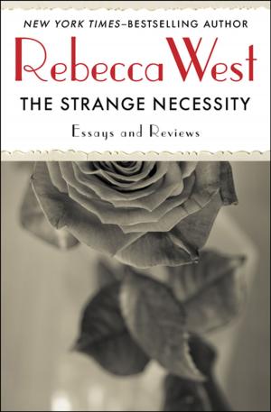 Cover of the book The Strange Necessity by Laurie Colwin