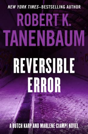 Cover of the book Reversible Error by Alan Sillitoe
