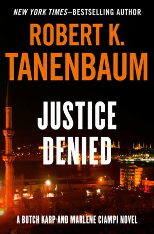 Cover of the book Justice Denied by Darcy O'Brien