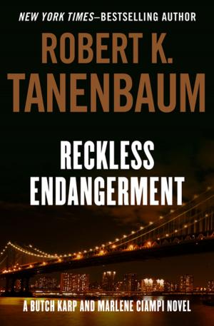 Cover of the book Reckless Endangerment by Richie Tankersley Cusick
