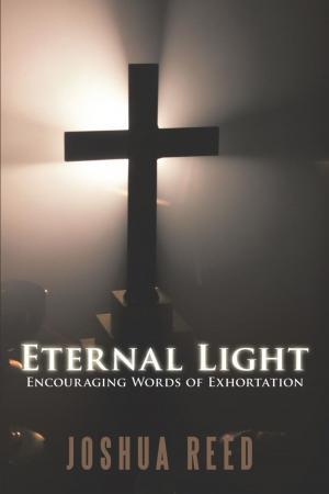 Cover of the book Eternal Light by Philip J. Johansen