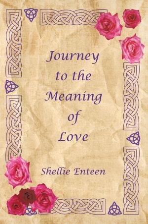 Cover of the book Journey to the Meaning of Love by Aaron Darch