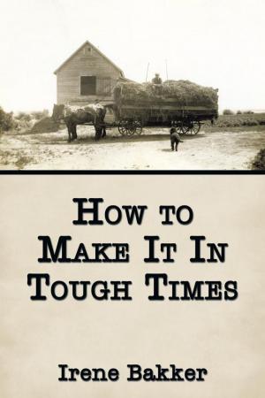 Cover of the book How to Make It in Tough Times by Robert Radar Holt