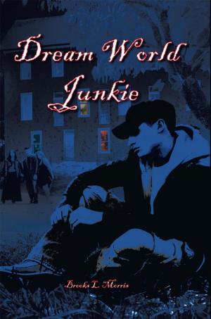 bigCover of the book Dream World Junkie by 