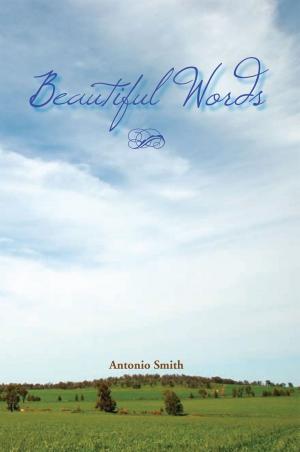 Cover of the book Beautiful Words by Siani Lee