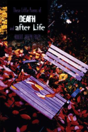 Cover of These Little Poems of Death and After Life