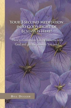 Cover of the book Your 3 Second Meditation into God’S Light of Ecstasy Is Here! by Freddie R. Burnett