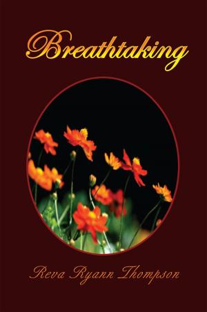 Cover of the book Breathtaking by Wayne W. Hogstad
