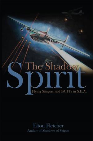 Cover of the book Shadow Spirit by Stephanie Lavenia Swinnea