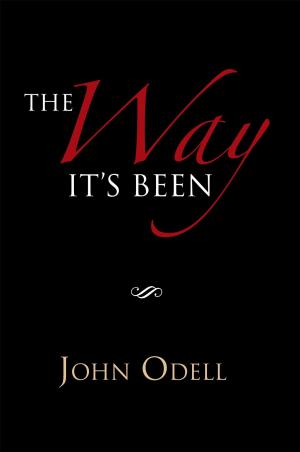 Book cover of The Way It's Been