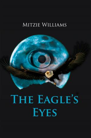 Cover of the book The Eagle's Eyes by Jaren Voigt