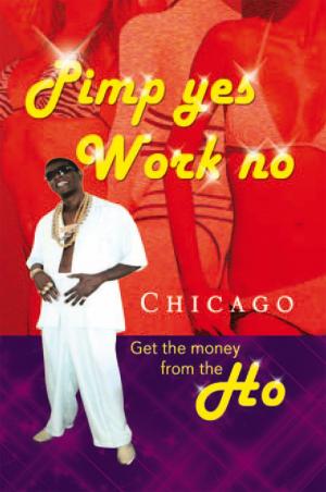 Cover of the book Pimp Yes Work No by Gabriella Gafni, Helias Doundoulakis