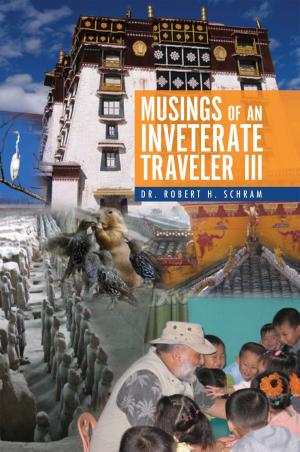 Book cover of Musings of an Inveterate Traveler Iii