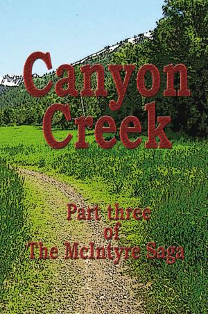 Cover of the book Canyon Creek by E. Lloyd Kelly