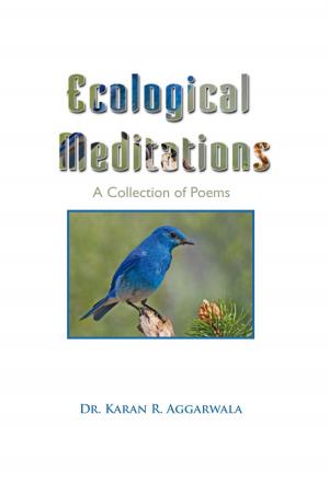 Cover of the book Ecological Meditations by Yan Song