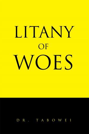 Cover of the book Litany of Woes by David Vaillancour