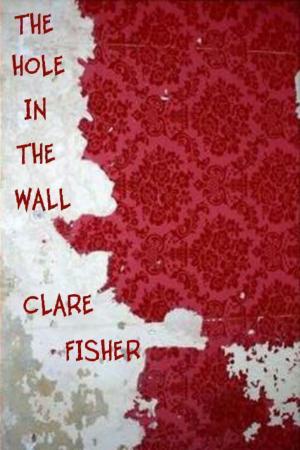 Cover of the book The Hole in the Wall by Jessica Harman