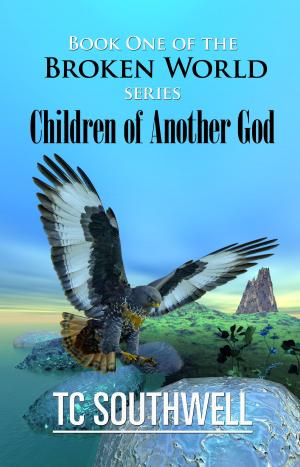Book cover of The Broken World Book One: Children of Another God